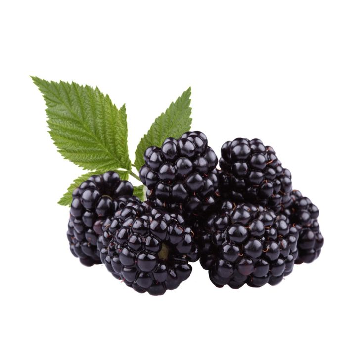 BLACKBERRIES