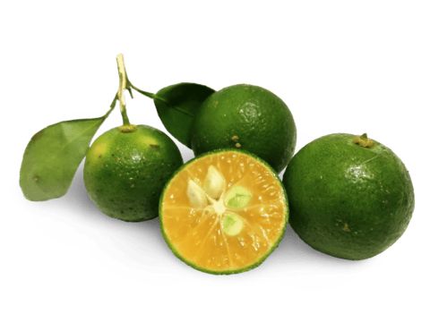 CALAMANSI