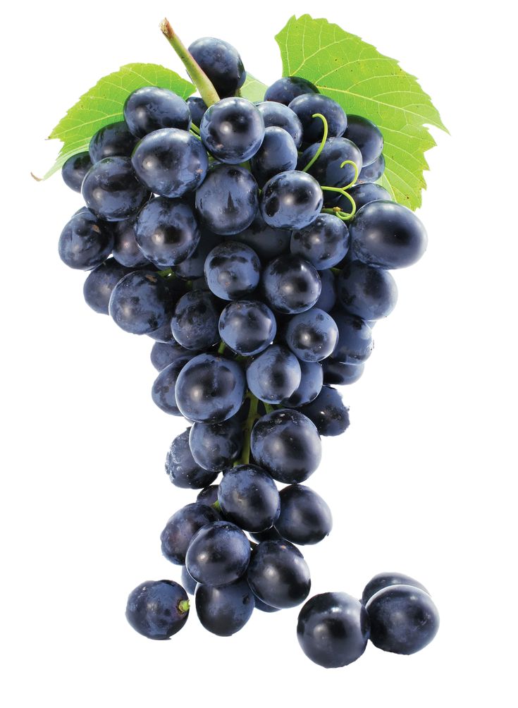 GRAPE-BLACK